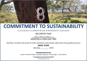 ADOPT A CORK OAK TREE | Help MONTADO to thrive | Annual plans