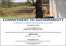 Carregar imagem no visualizador da galeria, ADOPT A CORK OAK TREE | Help MONTADO to thrive | Annual plans