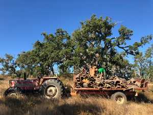 HARVESTING | The ultimate CORK EXPERIENCE | Only in June | fits for 10 participants | Acorn Liqueur offer